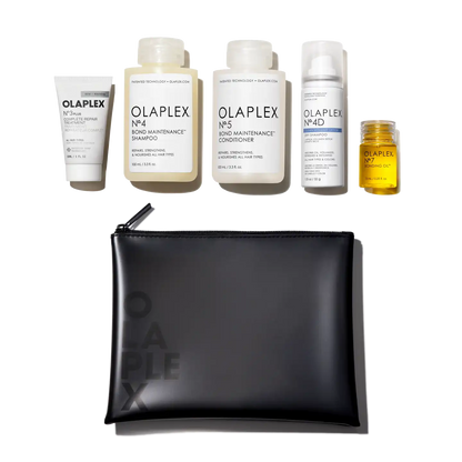 THE HEALTHY HAIR TRAVEL SET